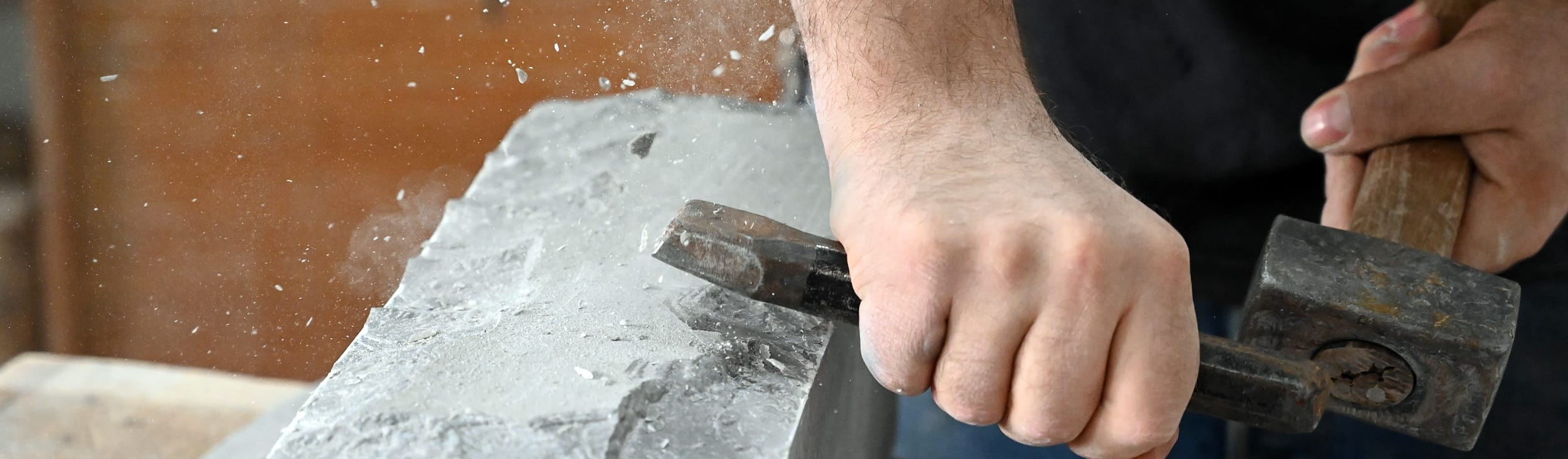 steinmetz-brugg-windisch_header